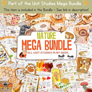 Spider Unit Study Homeschool Fall Activities Spider Life Cycle & Anatomy Nature Study Journal Web and Spider Poster Halloween Printables image 7