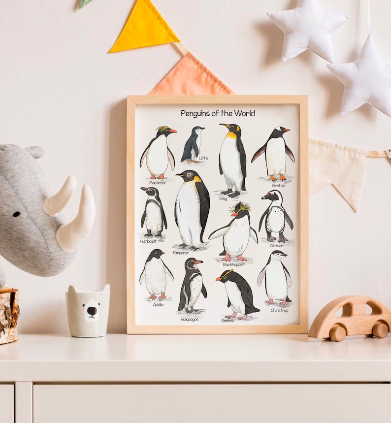 May include: A colorful illustrated poster featuring different types of penguins from around the world. The poster includes the names of each penguin species, such as Emperor, King, and Gentoo.