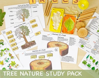 Tree Unit Study Bundle Charlotte Mason Anatomy of a Tree Nature Study Homeschool Learning Materials Educational Prints Preschool Busy Binder