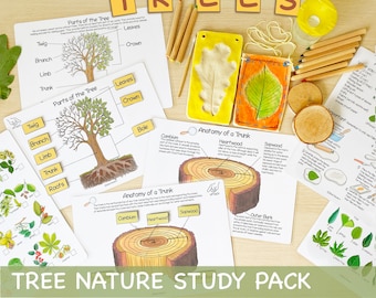 Pacchetto di studio sull'unità dell'albero Charlotte Mason Anatomia di un albero Studio sulla natura Materiali didattici per la scuola a casa Stampe educative Raccoglitore per bambini in età prescolare