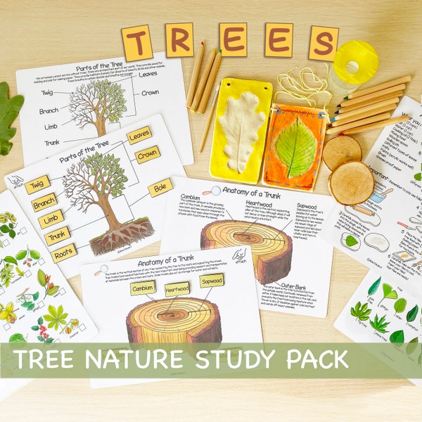 Tree Unit Study Bundle Charlotte Mason Anatomy of a Tree Nature Study Homeschool Learning Materials Educational Prints Preschool Busy Binder