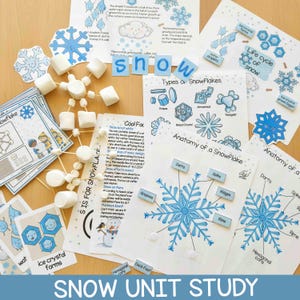 May include: A snow unit study educational set featuring printed worksheets about snowflake anatomy, types of snowflakes, and the life cycle of snow, accompanied by a three-dimensional snowflake model constructed from white marshmallows and toothpicks.