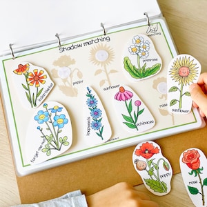 Peut inclure: Un jouet &eacute;ducatif color&eacute; pour enfants avec un jeu de correspondance d'ombres de diff&eacute;rentes fleurs. Les fleurs comprennent le coquelicot, le tournesol, la primev&egrave;re, la rose, l'&eacute;chinac&eacute;e, le myosotis, la couverture indienne et les centaur&eacute;es. Le jeu est con&ccedil;u pour aider les enfants &agrave; apprendre &agrave; conna&icirc;tre les diff&eacute;rents types de fleurs et leurs ombres.