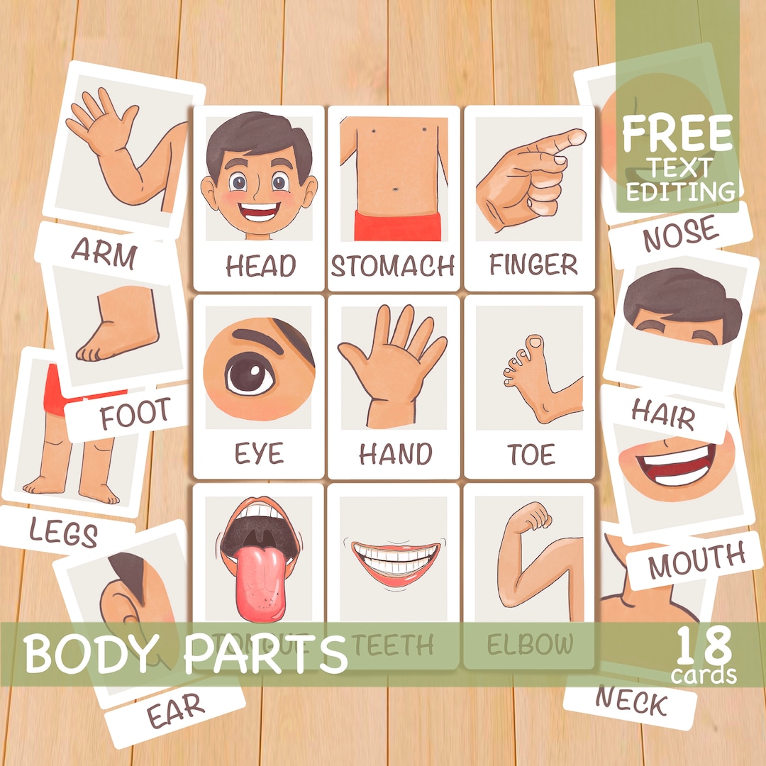 Toddler Flash Cards, Body Parts Flashcards, Homeschool Montessori