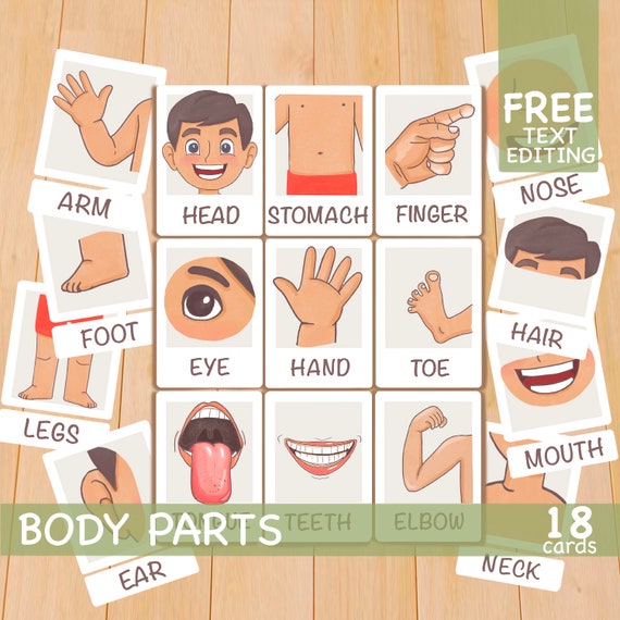 Body Parts Flashcards Printable Free FREE PRINTABLE TEMPLATES