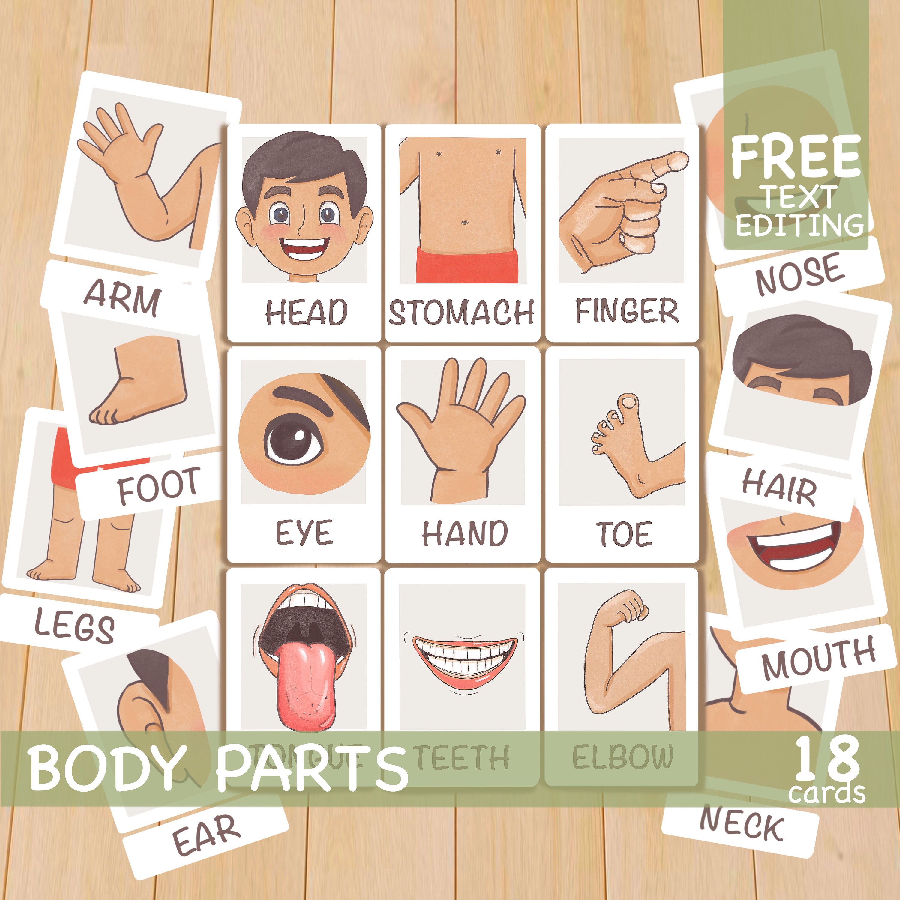 Body Parts Flash Cards Kids Preschool Autism SEN ADHD Special Needs 