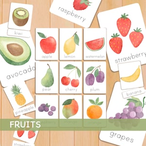 16 Aquarell Obst Karte für Kinder Druckbare Montessori Karteikarten für Kleinkinder Homeschool Vorschule Nomenklaturkarten