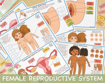 Vrouwelijk voortplantingssysteem drukke bundel Menselijke anatomie Afdrukbare activiteit Over mij Homeschool Curriculum Menselijk lichaam druk boek