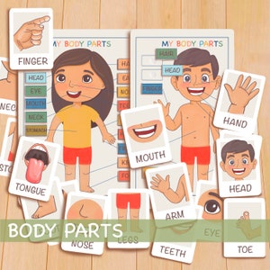 Body Parts Busy Bundle, Printable Montessori Materials - Educational Prints, Toddler Flash Cards
