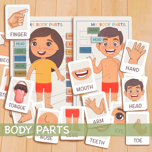 Body Parts Busy Bundle, Printable Montessori Materials - Educational Prints, Toddler Flash Cards