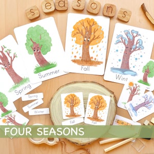 Schede flash per le stagioni Materiali didattici Montessori Schede flash per acquerello stampabili per la scuola domiciliare Schede flash per bambini per lo studio della natura