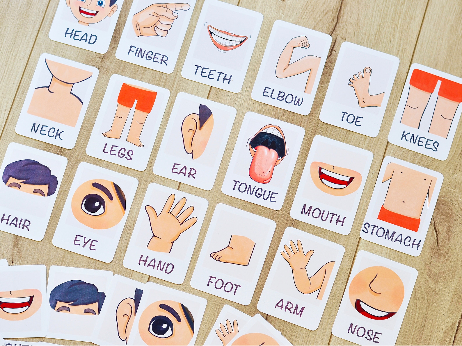 Toddler Flash Cards Body Parts Flashcards Homeschool Etsy