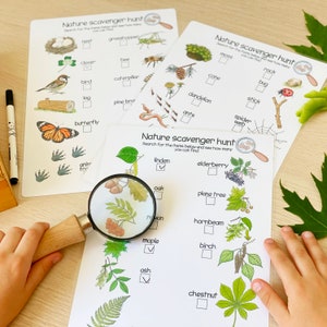 May include: Three printable nature scavenger hunt checklists with illustrations of various plants, animals, and insects. The checklists include items like a butterfly, a bee, a spider web, a pine branch, a log, a bird, a clover, a grasshopper, a nest, a rock, a stick, a bug, a dandelion, ants, moss, a cone, and more.