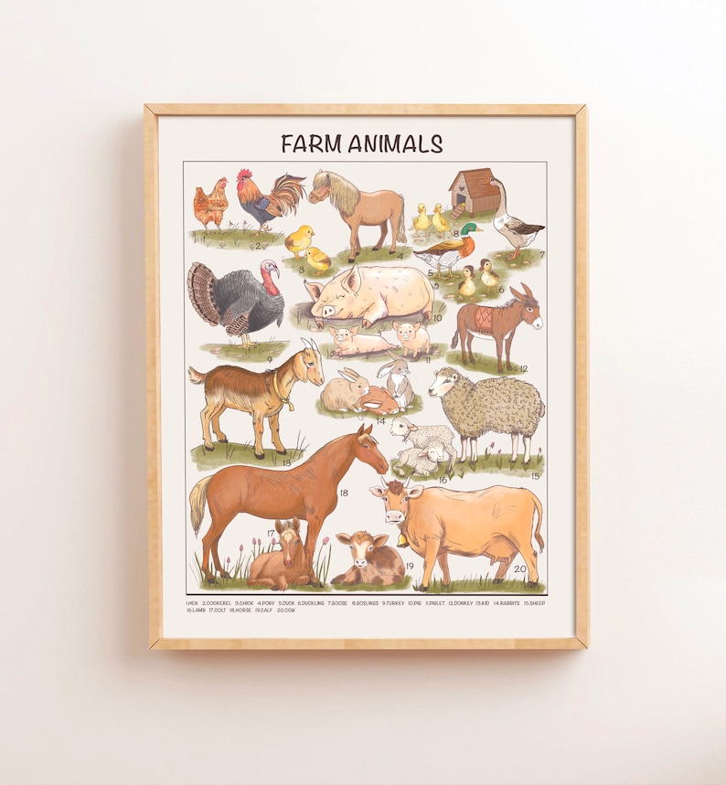 May include: A colourful illustrated chart featuring farm animals, including a rooster, a pig, a goat, a horse, a cow, a donkey, a sheep, a turkey, and chicks. The chart is labelled "FARM ANIMALS" and includes numbers 1 through 20.