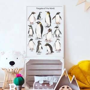 May include: A white framed poster with the title "Penguins of the World" and illustrations of 12 different penguin species with their names listed below each illustration.
