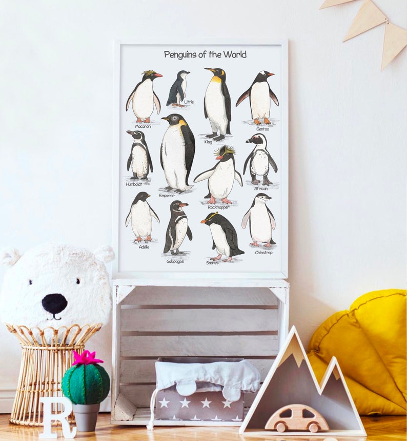 May include: A white framed poster with the title "Penguins of the World" and illustrations of 12 different penguin species with their names listed below each illustration.