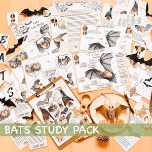 Jednostka badawcza nietoperzy Zajęcia jesienne w domu Anatomia i cykl życia nietoperzy Materiały na Halloween Plakat i karty do nauki o nietoperzach Dziennik badań nad naturą