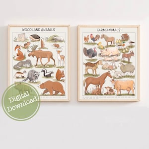 Conjunto de dos láminas, carteles educativos, láminas descargables de animales de granja y del bosque