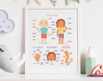 Attività stampabile di parti del corpo per bambini, gioco di abbinamento stampabile del corpo umano e foglio di lavoro, pagina da colorare, download digitale prescolare homeschool - Italia