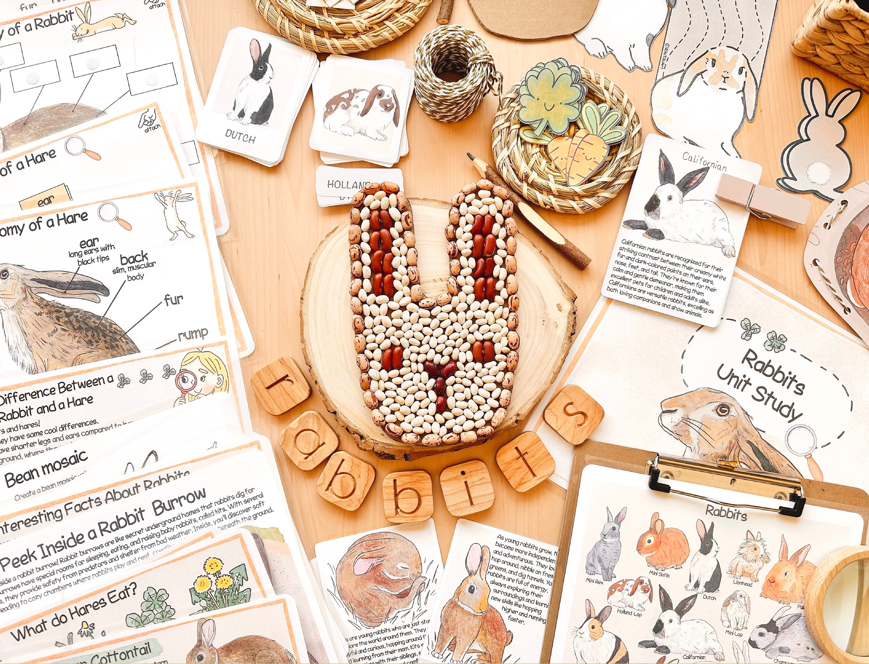 Rabbit Unit Study Homeschool Printables Easter Bunny Spring Learning ...