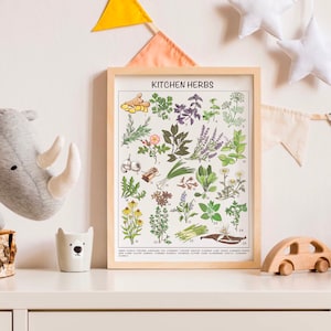 May include: A framed poster with an illustration of 25 different kitchen herbs. The poster is titled "Kitchen Herbs" and each herb is numbered and labeled with its common name.