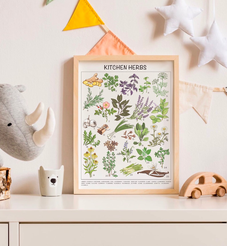 May include: A framed poster with an illustration of 25 different kitchen herbs. The poster is titled "Kitchen Herbs" and each herb is numbered and labeled with its common name.