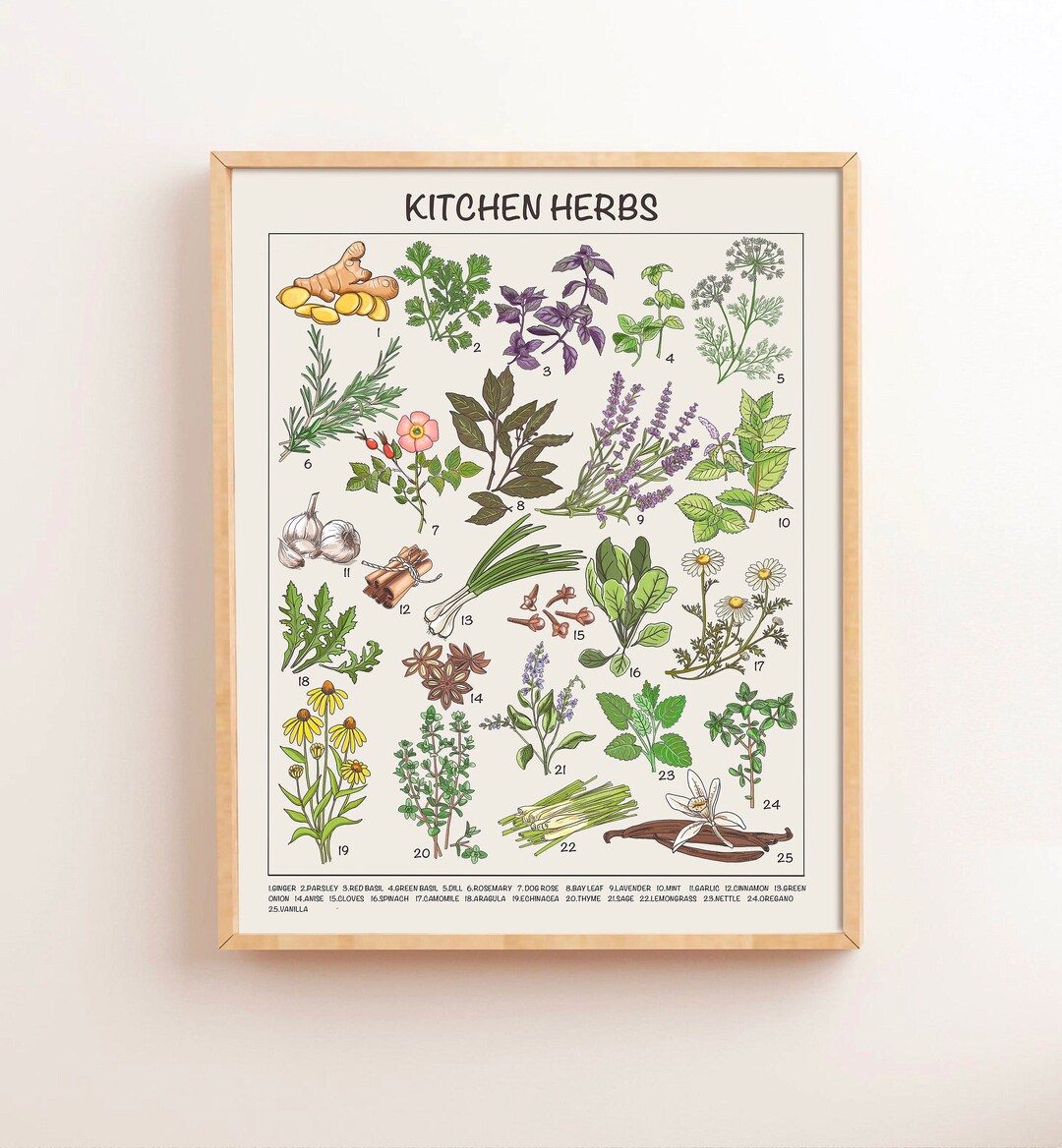 Kitchen Herbs Downloadable Prints, Homeschool Educational Prints ...