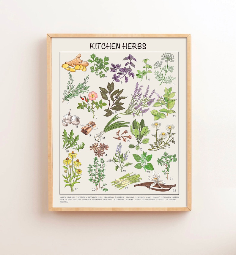 May include: A colorful illustrated chart of kitchen herbs with their names and numbers. The chart includes herbs like rosemary, basil, lavender, garlic, ginger, and more.