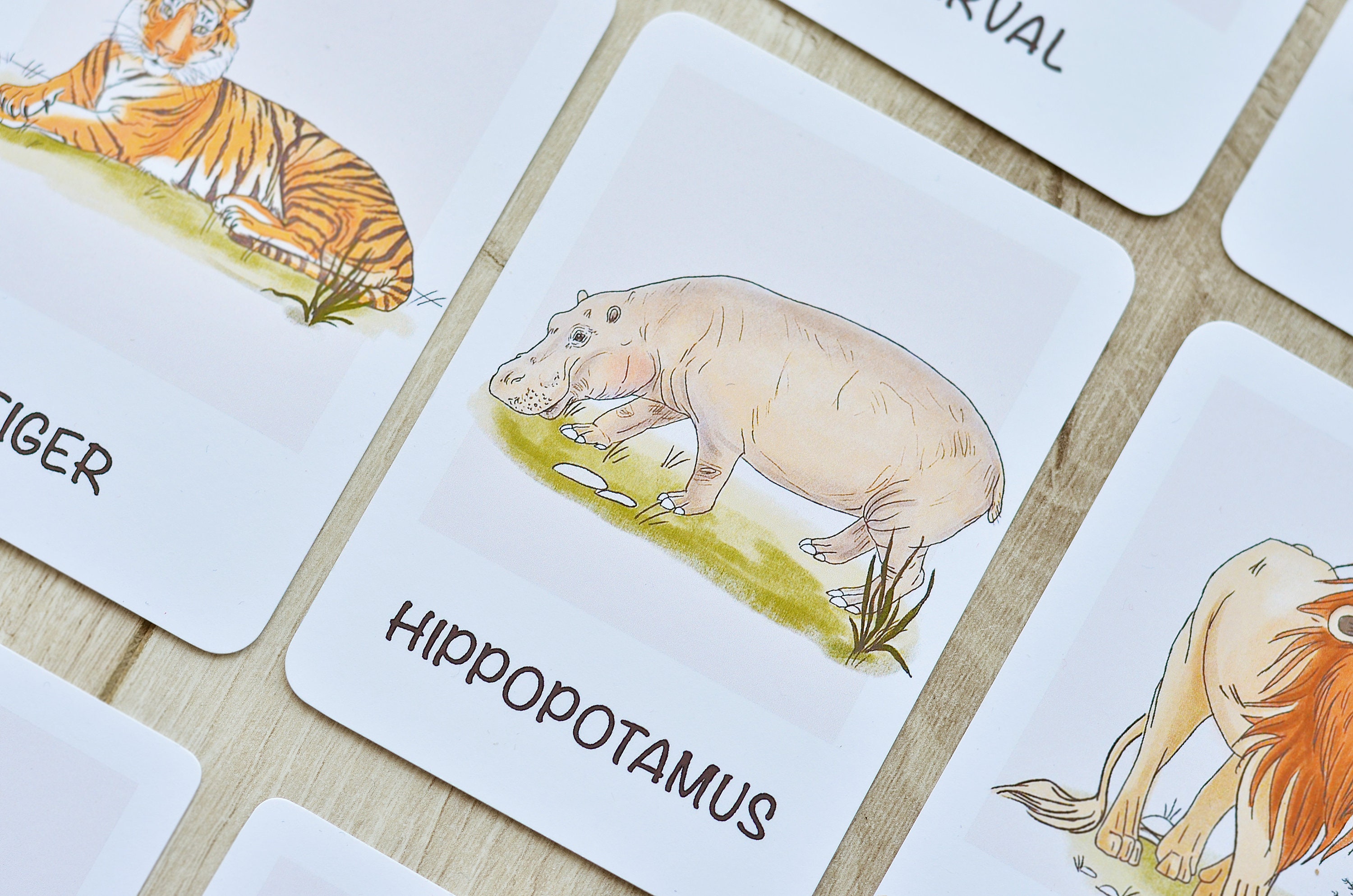 Safari Animals Flashcards, Printable Montessori Materials, Homeschool ...