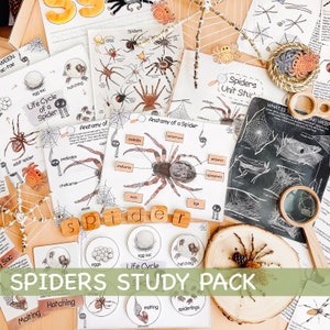 Spider Unit Study Homeschool Fall Activities Spider Life Cycle & Anatomy Nature Study Journal Web and Spider Poster Halloween Printables