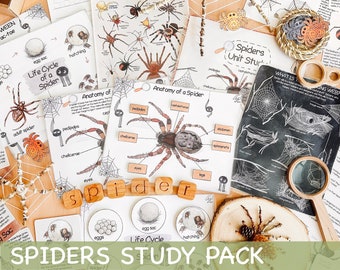 Spider Unit Study Homeschool Fall Activities Spider Life Cycle & Anatomy Nature Study Journal Web and Spider Poster Halloween Printables