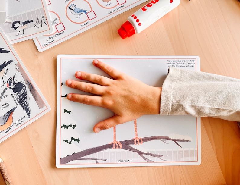 Winter Backyard Birds Unit Study Charlotte Mason Homeschool Etsy