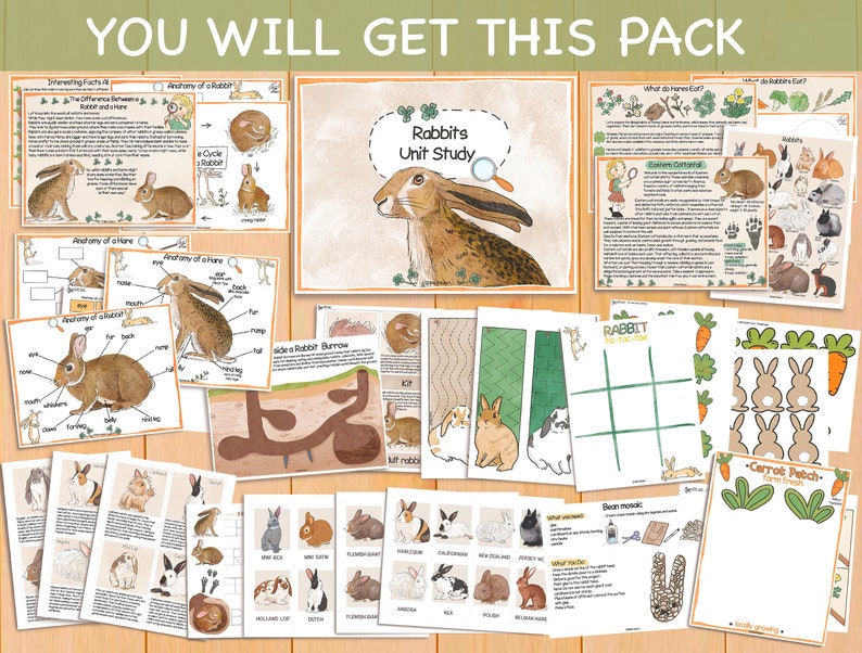 K&ouml;nnte beinhalten: Ein druckbares Paket mit p&auml;dagogischen Ressourcen zum Lernen &uuml;ber Kaninchen. Das Paket enth&auml;lt Arbeitsbl&auml;tter, Spiele und Aktivit&auml;ten. Die Arbeitsbl&auml;tter zeigen Illustrationen von Kaninchen und Hasen, und die Spiele beinhalten Tic-Tac-Toe und ein Karottenfeldspiel.