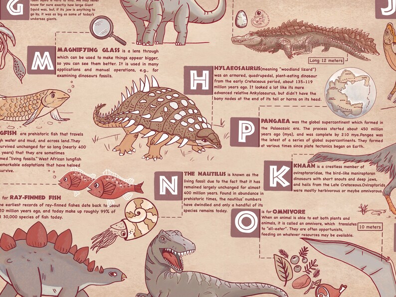 Puede incluir: Un p&oacute;ster alfab&eacute;tico ilustrado con dibujos coloridos de varios animales, incluidos dinosaurios, peces y una concha de nautilus. El p&oacute;ster destaca las letras M, N, O, P, K y H, cada una representando un animal o concepto diferente. Este p&oacute;ster es una forma divertida y educativa de aprender sobre diferentes criaturas y sus caracter&iacute;sticas.