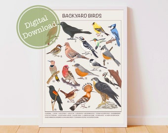 Backyard Birds Downloadable Prints, Educational Prints, Homeschool Montessori Materials