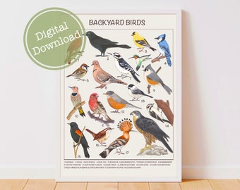 May include: A printable chart featuring 18 different backyard birds, with their names and numbers listed below. The birds are illustrated in a realistic style, with vibrant colors and detailed features. The chart is titled "Backyard Birds" and is a great educational tool for bird lovers of all ages.
