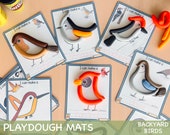 Backyard Birds Play Dough Mats Fine Motor Skills Visual Cards Montessori Toddler Printable Activities Quiet Time Preschool Play Doh Mats