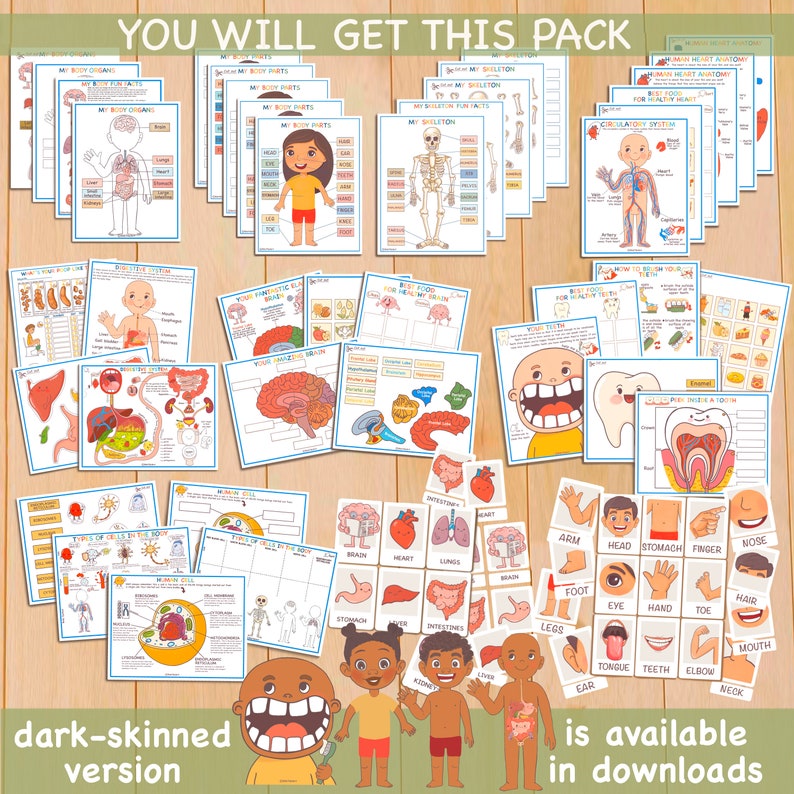 Human Anatomy Busy Book Printable Preschool Worksheets - Etsy