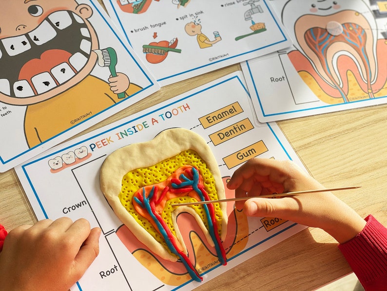 Voorschoolse peuteractiviteiten Tandheelkundige gezondheid, Afdrukbaar homeschoolcurriculum, Menselijke anatomieactiviteit afbeelding 7