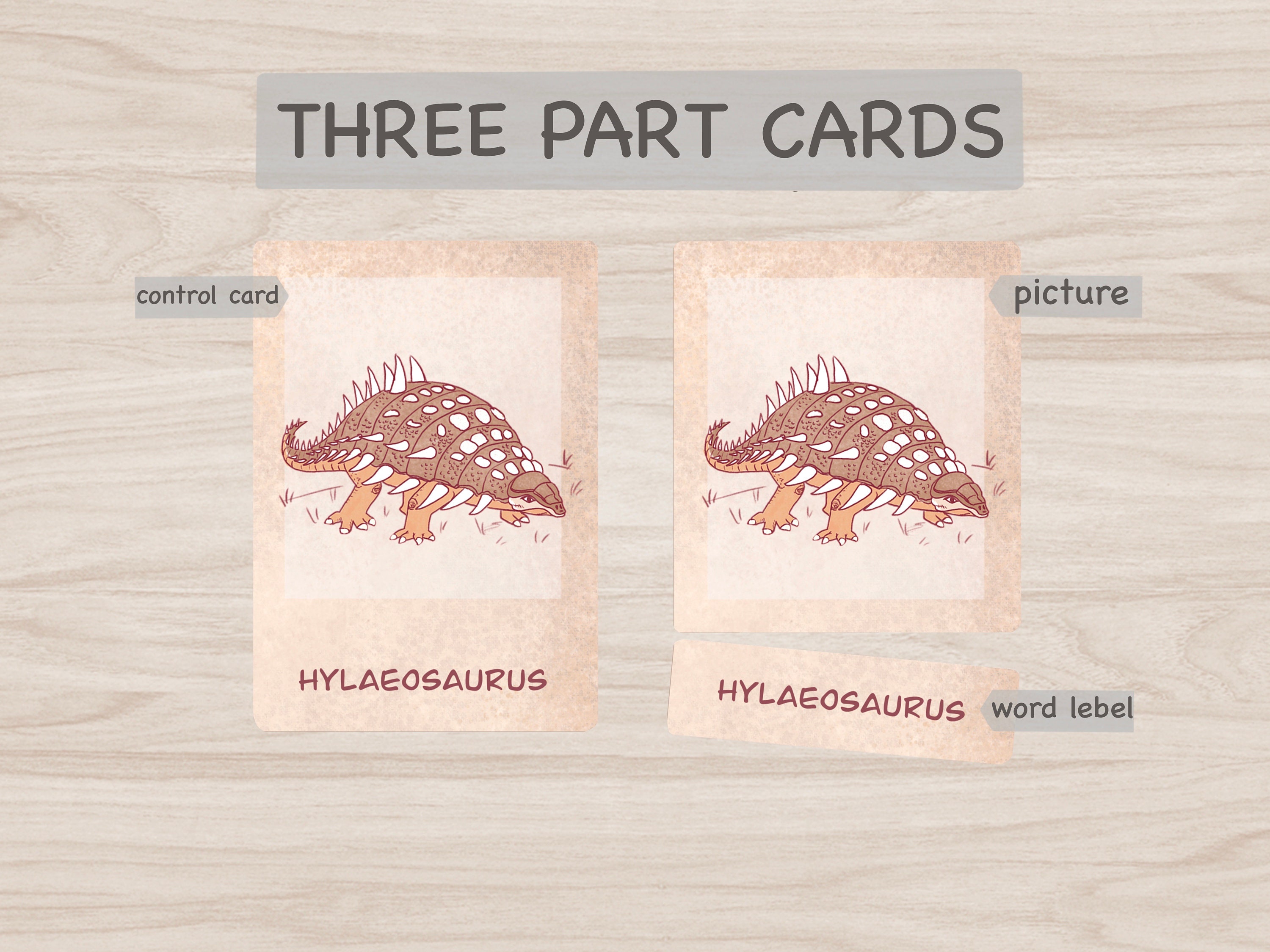 Dinosaur Flashcards, Printable Montessori Materials, Homeschool ...