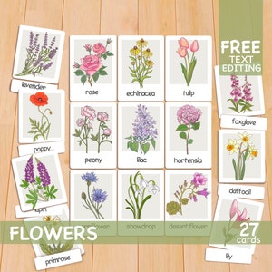 Flowers Flashcards Charlotte Mason Preschool Printables Toddler Flash Cards Montessori Materials Homeschool Resources Outdoor Adventure