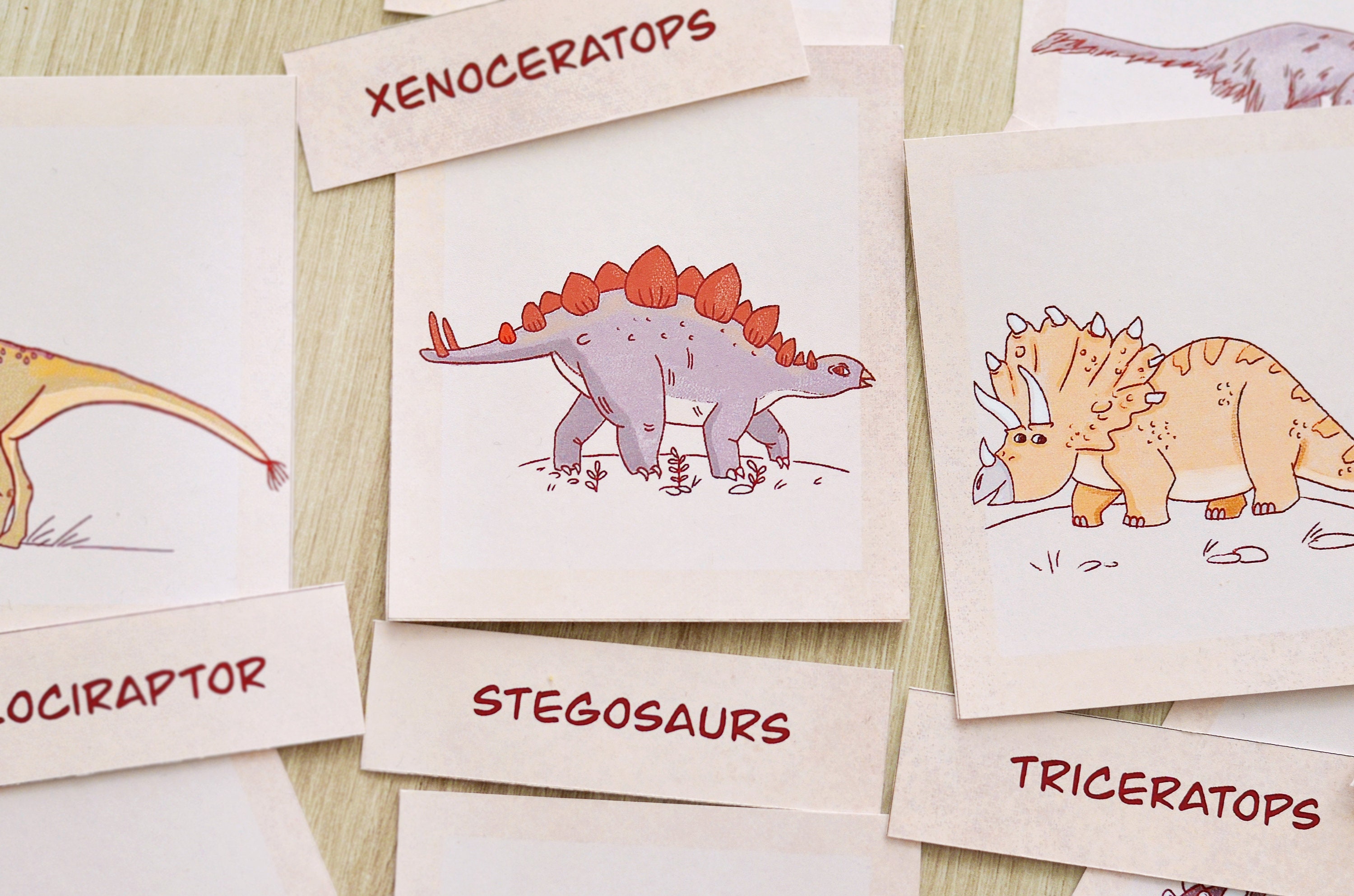 Dinosaur Flashcards, Printable Montessori Materials, Homeschool ...
