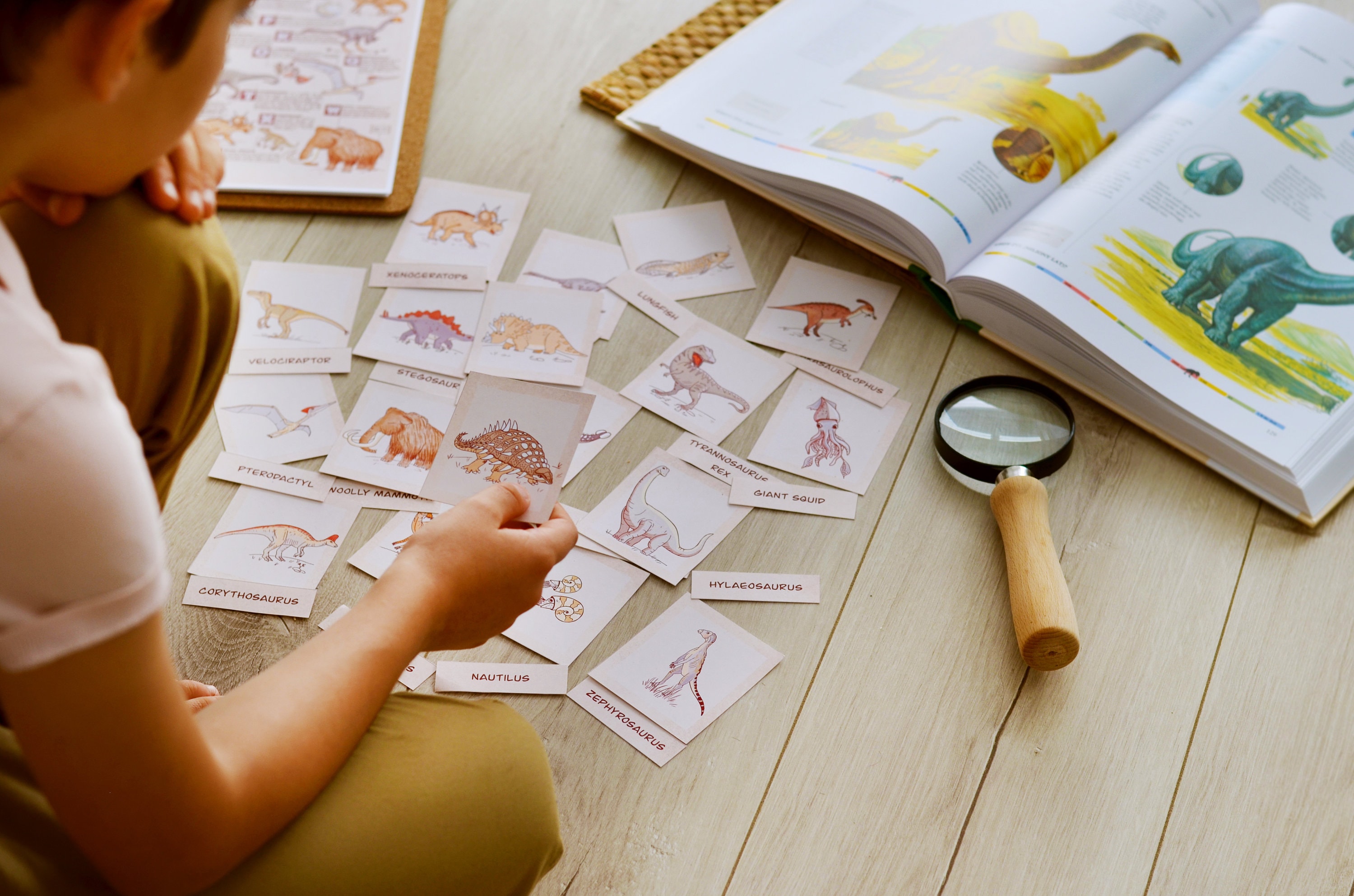 Dinosaur Flashcards, Printable Montessori Materials, Homeschool ...