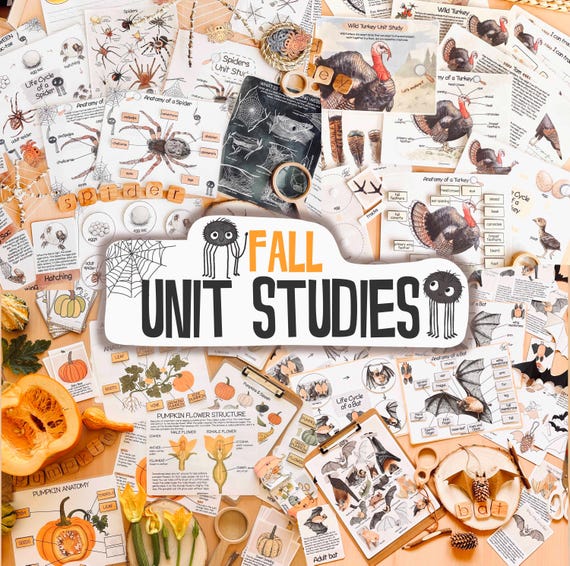 Fall Unit Studies Bundle – Spiders, Bats, Pumpkins & Turkey Unit Study Pack, Autumn Homeschool Activities, Halloween Homeschool Printables