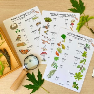 K&ouml;nnte beinhalten: Drei druckbare Natur-Schnitzeljagd-Checklisten mit Illustrationen von g&auml;ngigen Pflanzen, Tieren und Insekten. Die Checklisten beinhalten Elemente wie ein Nest, eine Heuschrecke, Klee, eine Biene, eine Raupe, einen Vogel, einen Baumstamm, einen Kiefern-Zweig, einen Schmetterling, Moos, einen Zapfen, einen Stein, einen K&auml;fer, einen L&ouml;wenzahn, Ameisen, einen Wurm, einen Samen, eine Eberesche, einen Ahorn, eine Esche, einen Farn, eine Ulme, eine Linde, einen Holunder, eine Eiche, eine Platane, eine Hainbuche, eine Birke und eine Kastanie.