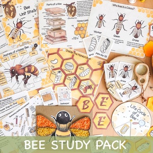 Unità di studio sulle api mellifere Attività estive per la scuola domestica Ciclo di vita delle api Spinner e anatomia, diario di studio della natura Poster e schede didattiche sulle api mellifere