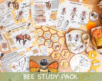 Unidad de estudio de abejas melíferas Escuela en casa Actividades de verano Ciclo de vida de las abejas Spinner y anatomía, diario de estudio de la naturaleza Póster y tarjetas didácticas de abejas melíferas