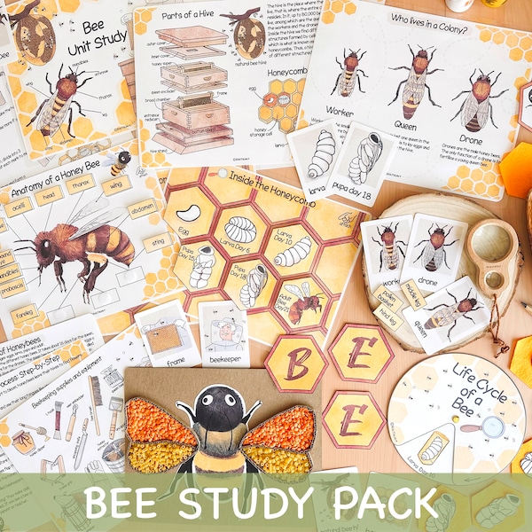 Unidad de estudio de abejas melíferas Escuela en casa Actividades de verano Ciclo de vida de las abejas Spinner y anatomía, diario de estudio de la naturaleza Póster y tarjetas didácticas de abejas melíferas