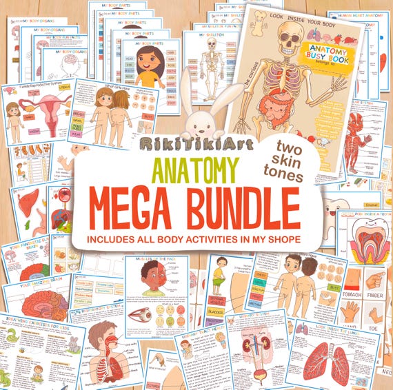 All about Human Body 3D Puzzle and Book Set All about Human Body 3D Puzzle and Book Set