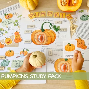 Pumpkin Unit Study Homeschool Learning Materials Charlotte Mason Educational Activities for Preschool Fall Autumn Classroom Decor